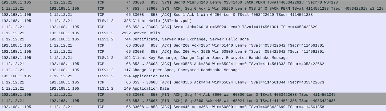 友情出镜:`dot.pub`,通过端口即可判断出正在使用DoT